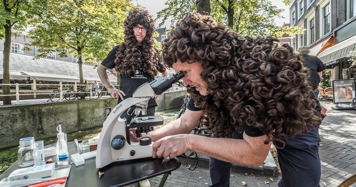 Zaterdag 8 november: Microscopiedag in het Hunebedcentrum Borger