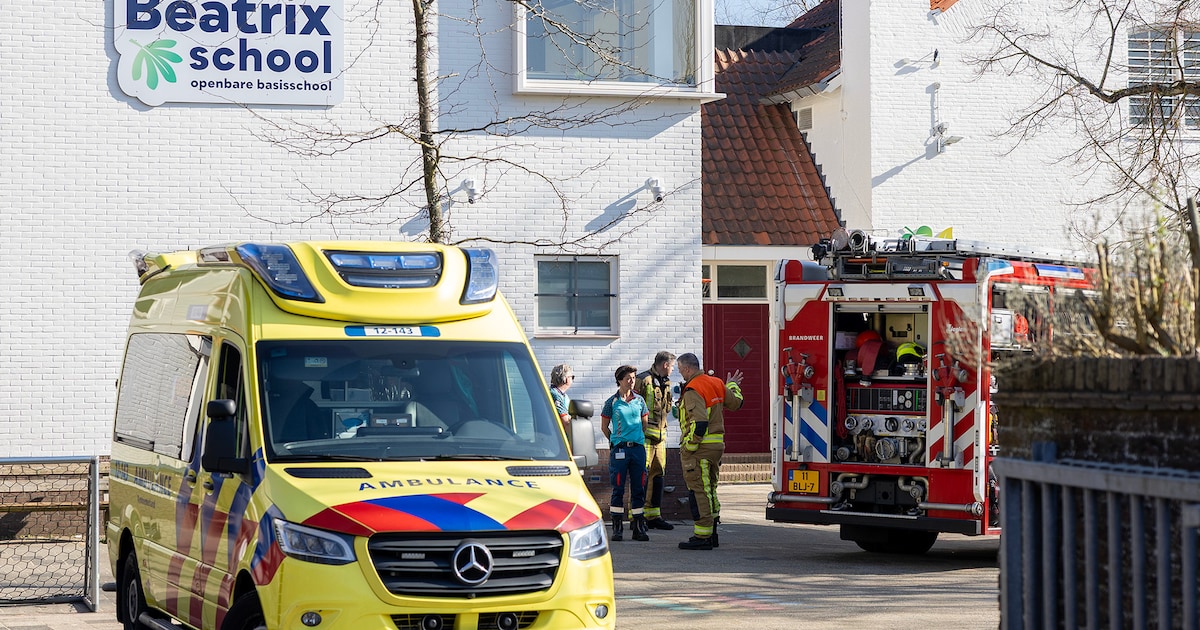 Leerlingen Beatrixschool in Haarlem naar buiten vanwege brandmelding: oorzaak blijkt vuurkorf