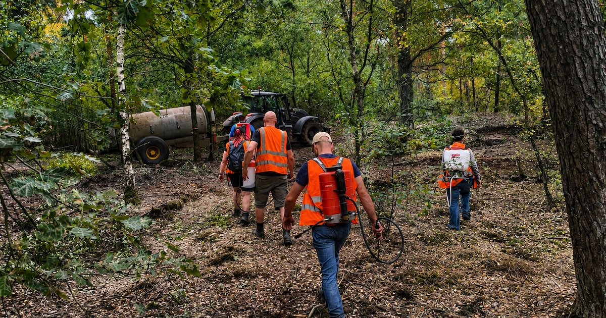 Bij het nablussen van de natuurbrand bij Oostrum krijgt Limburgs Landschap hulp uit onverwachte hoek