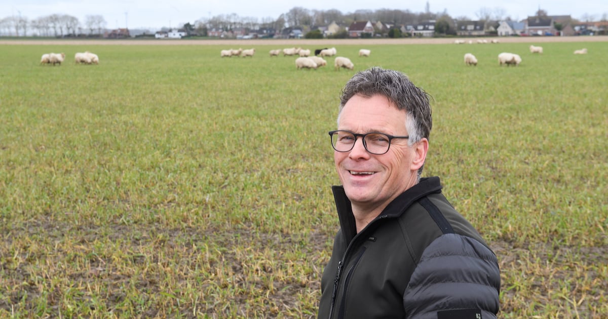 Twaalf koolstofboeren houden CO2 vast; nu wachten ze op compenserende ...