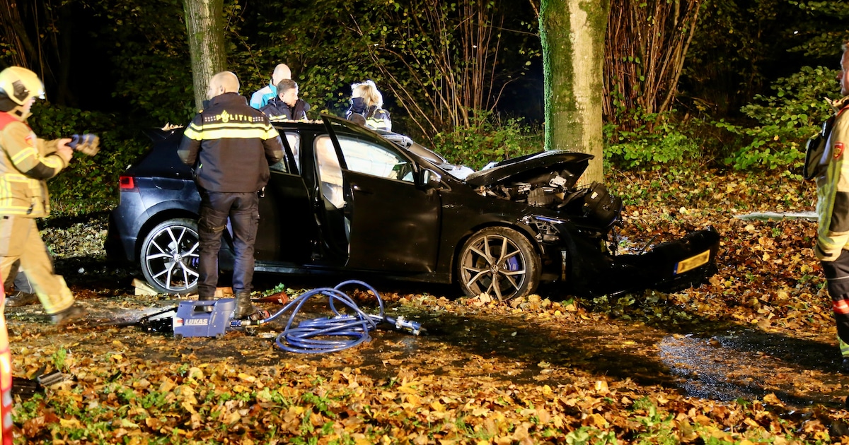 Vianees (49) krijgt forse celstraf na stomdronken, doorgesnoven dollemansrit door Nieuwegein