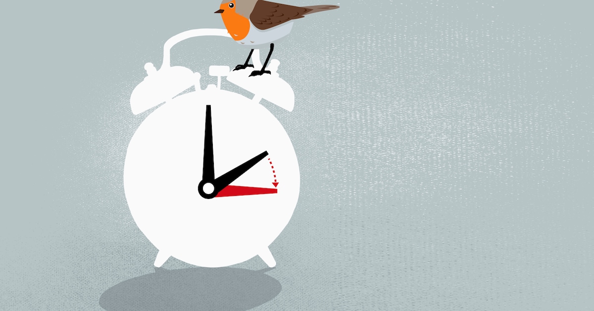 Nieuwe openingstijden voor de Zoomerij in Dieren en Velp-Rozendaal