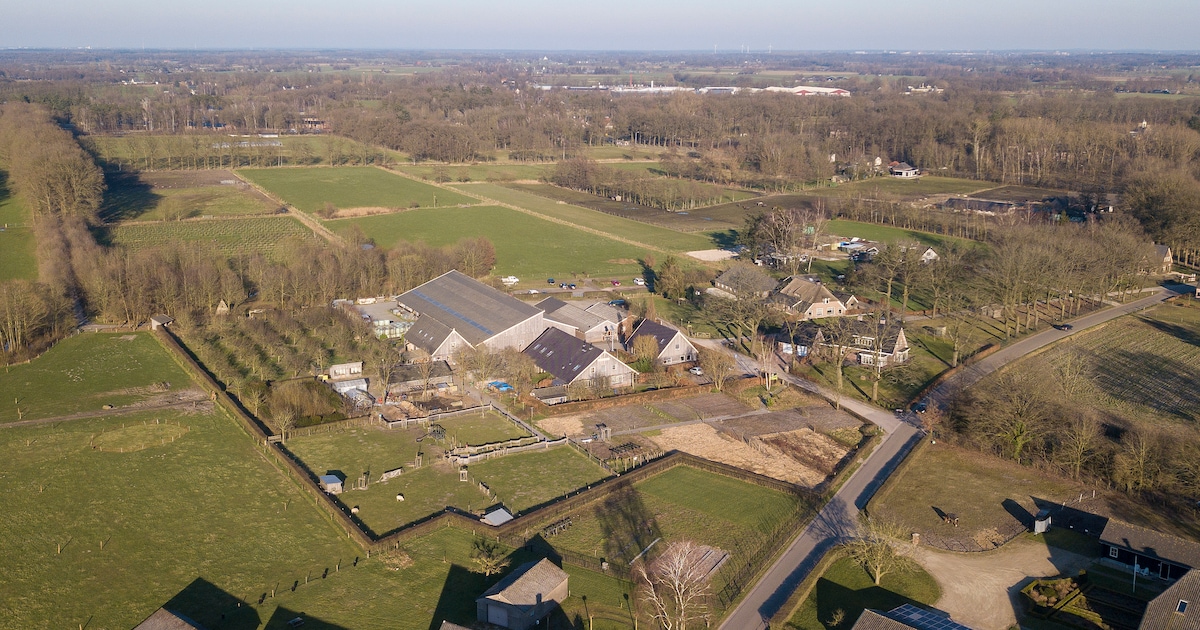 Zorginstelling in Loenen stelt medewerker op non-actief: mogelijk meerdere meldingen van seksueel wa