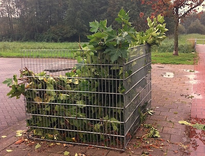 Alle blaadjes verzamelen! Hier in Gouda staan bladkorven