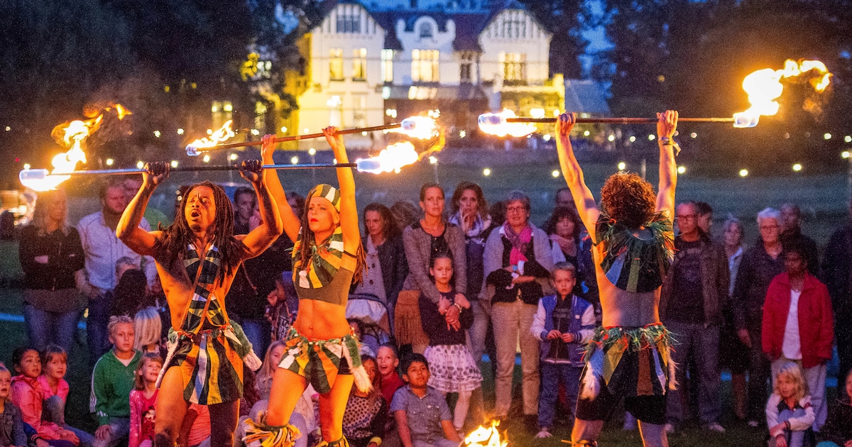 Festival Kopje Cultuur in Steenwijk pakt jubileumeditie groots aan: ‘Dit kán eigenlijk niet’