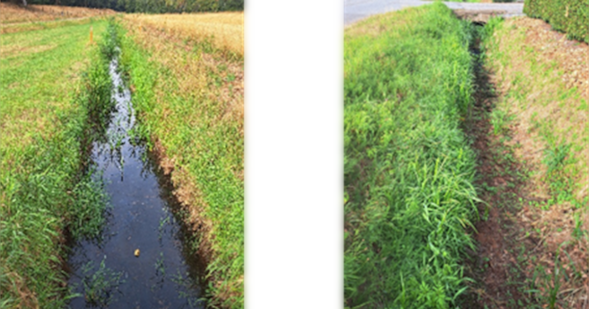 Onttrekkingsverbod voor waterlopen uitgebreid naar hele provincie ...