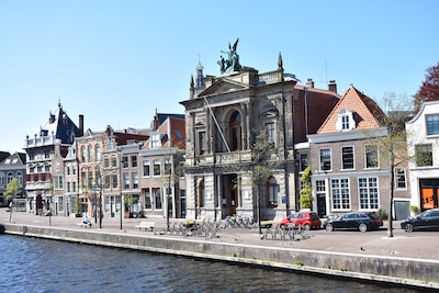 Viewing tip! This Haarlem museum is coming to television
