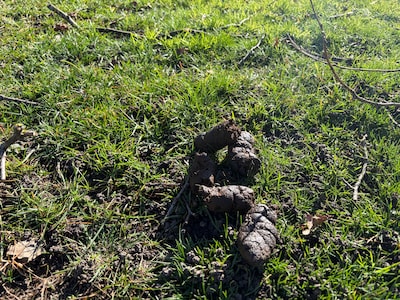 Image related to the article