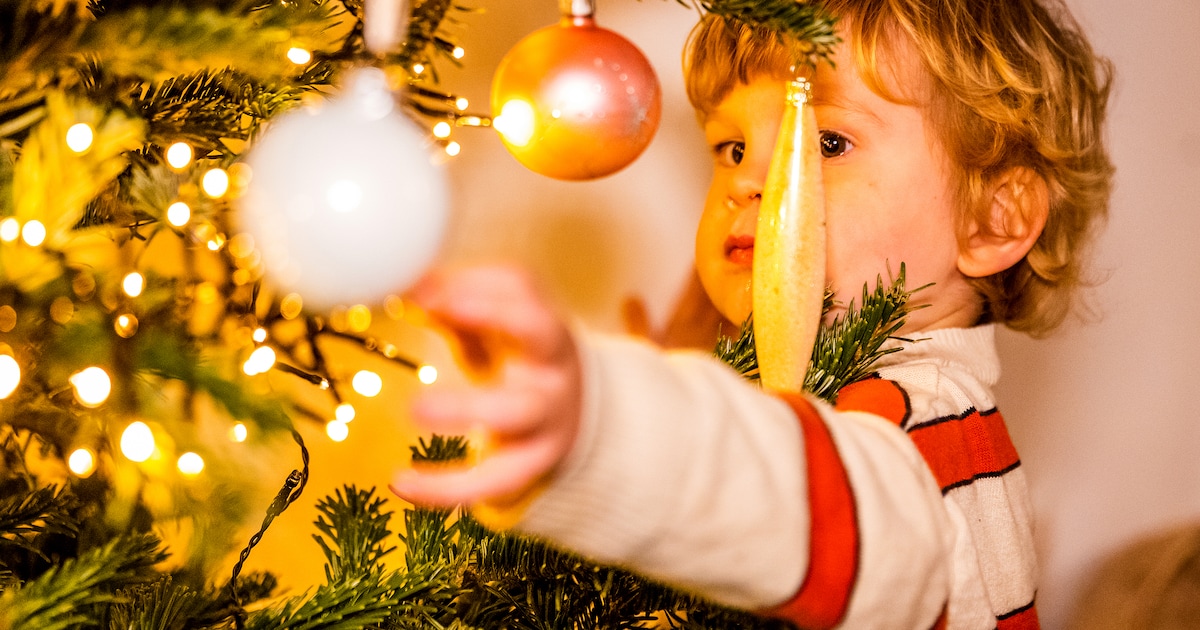 Staat jouw kerstboom al te schitteren? Stuur je foto in!