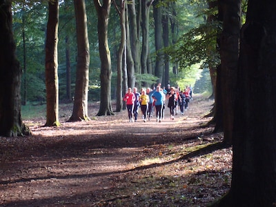 AV Gelre houdt proefles Nordic Walking in Dieren