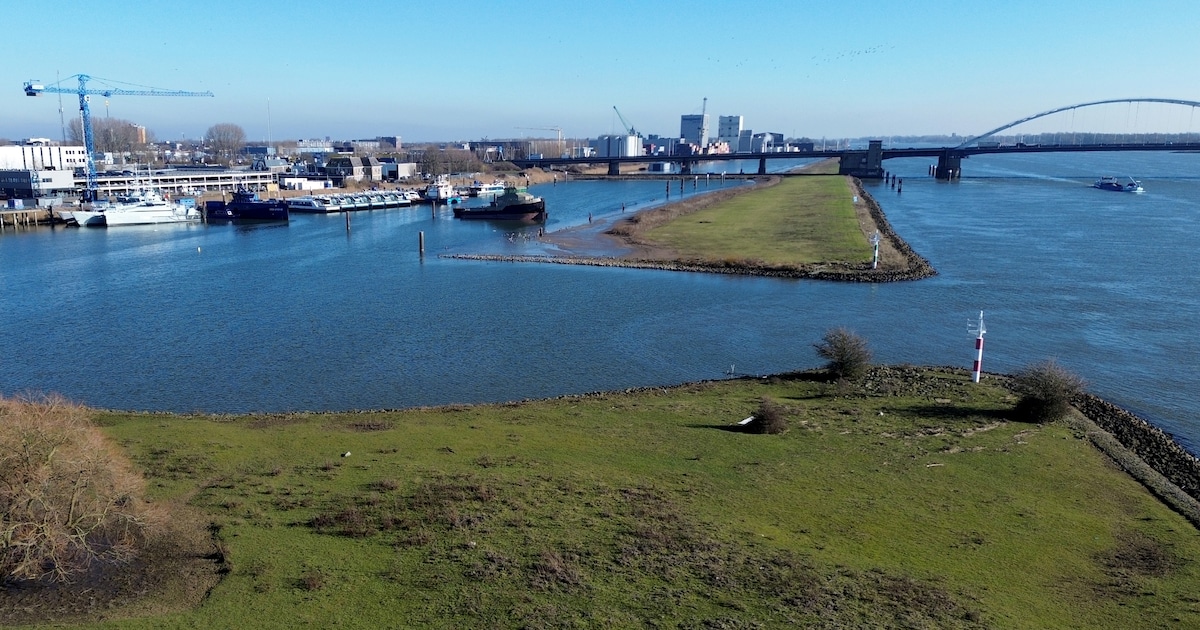 Twee bedrijven maken bezwaar tegen aanleg werkeiland: ‘Wat zijn gevolgen bij hoogwater?’