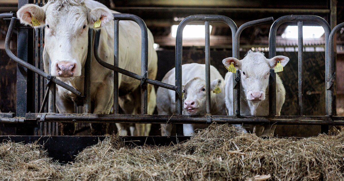 Groenfonds Midden-Delfland biedt financiële steun voor streekproducten