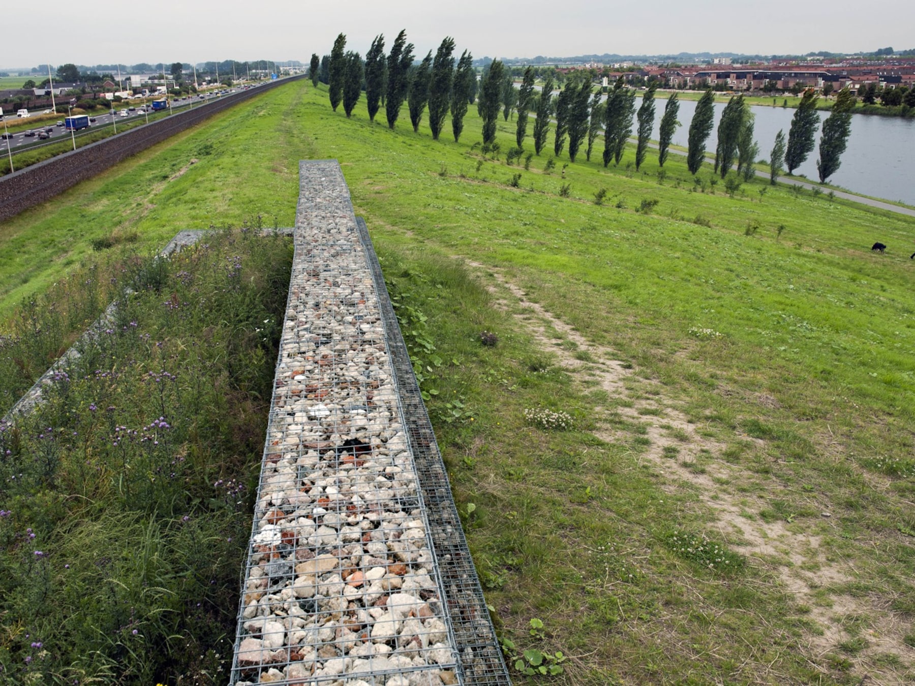 Sterk vervuild grondwater onder geluidswal in Utrecht: ‘Geen risico’s’