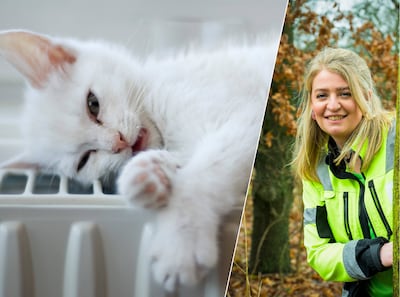 Image related to the article