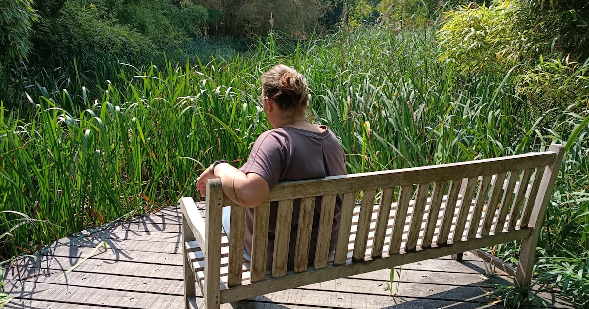 Even chillen? Met deze handige apps vind je alle bankjes in Bergen op Zoom