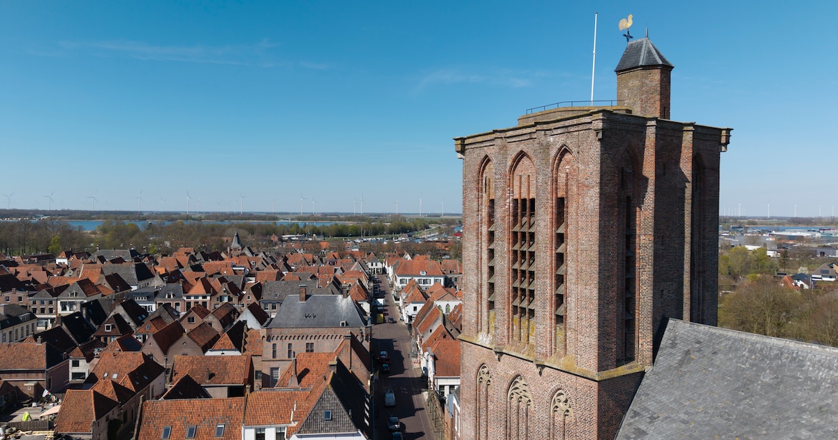 Gratis zomerconcerten van Veluws Mannenensemble keren terug in Elburg