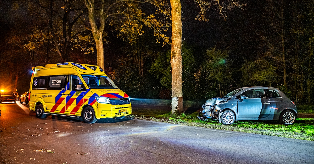 Auto botst tegen twee bomen in Havelte