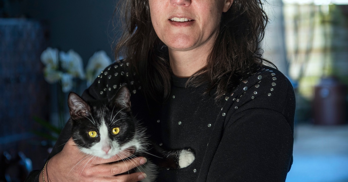 Mathilda van den Hof geeft lezing over familiepatronen in Beilen