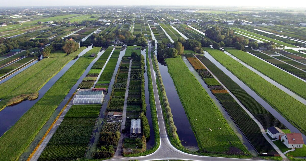 Slappe bodem nekt bouwers: bewoners nieuwe wijk voorlopig nog niet ...
