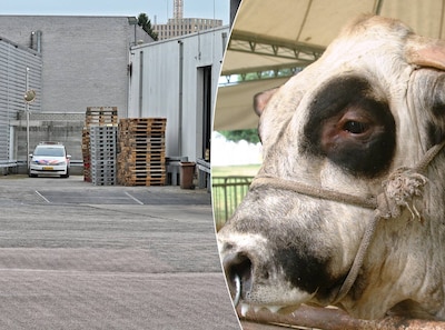 Image related to the article