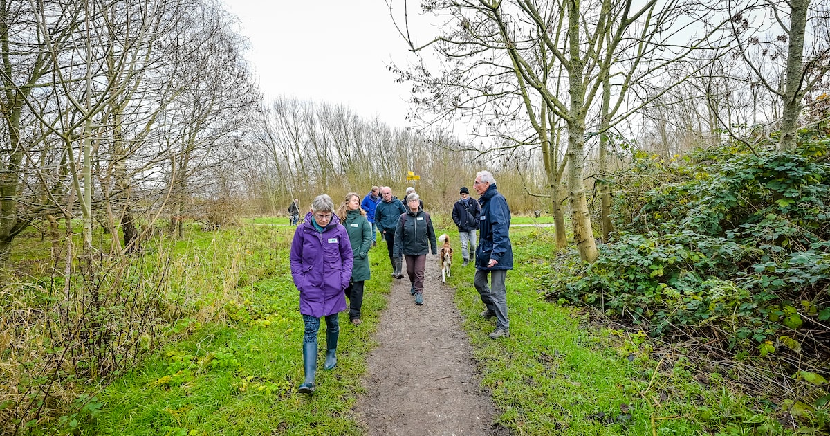 Bomen- en knoppenwandeling in Broekpolder Vlaardingen