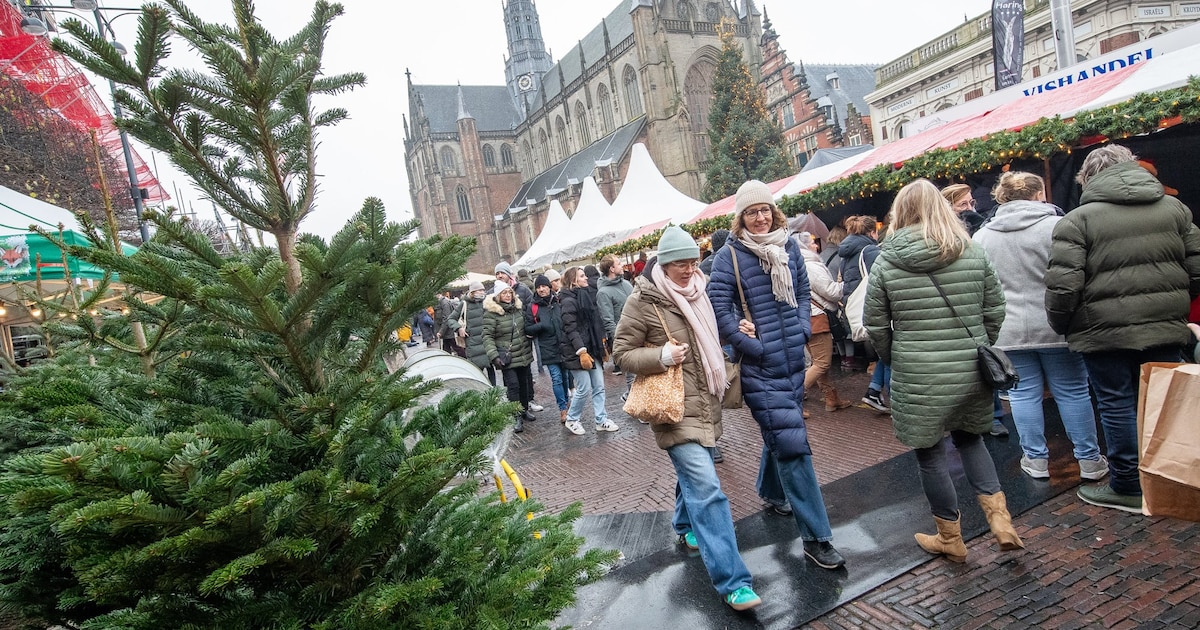 Dit is de weersvoorspelling voor de kerstmarkt 2025 in Haarlem