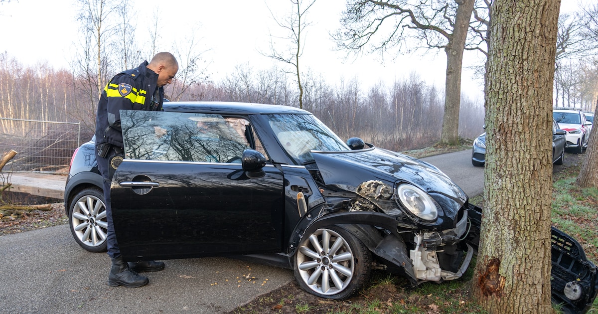 Auto botst tegen boom langs de Limburg Stirumweg in Oranjewoud