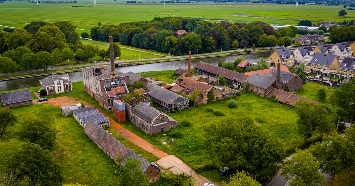 Drie jongeren illegaal bij Nieuw Werklust, vluchten zwemmend, maar ontlopen prent niet