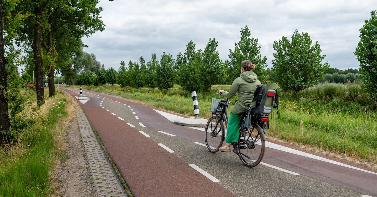 Eindelijk is deze ‘gevaarlijke Langbroekerdijk’ aangepakt, maar de Fietsersbond is niet blij: ‘Absur