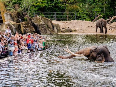 ARTIS-Park tickets met korting