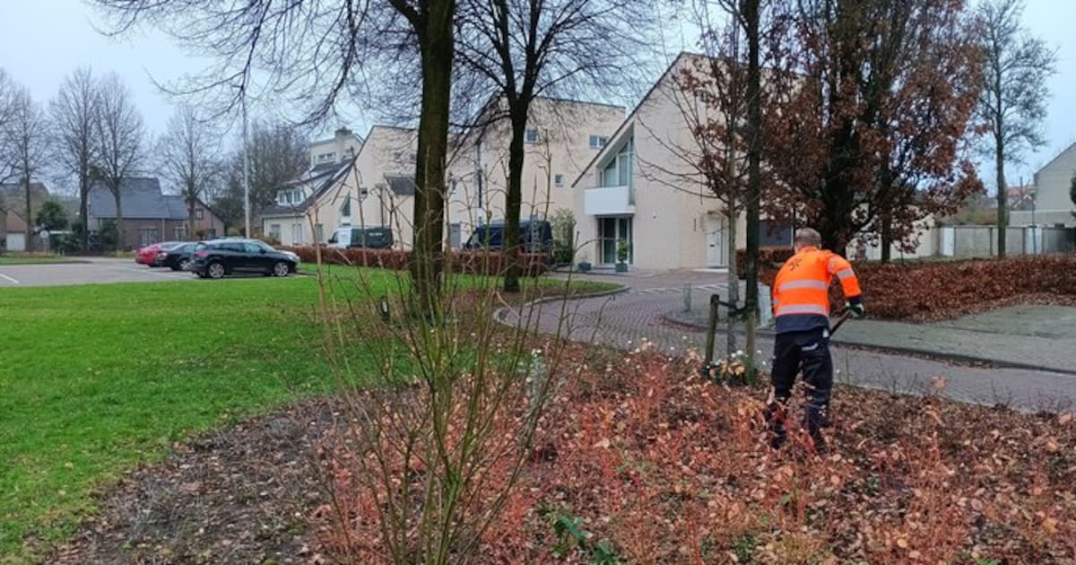 Gemeente Alphen-Chaam werkt aan groenonderhoud