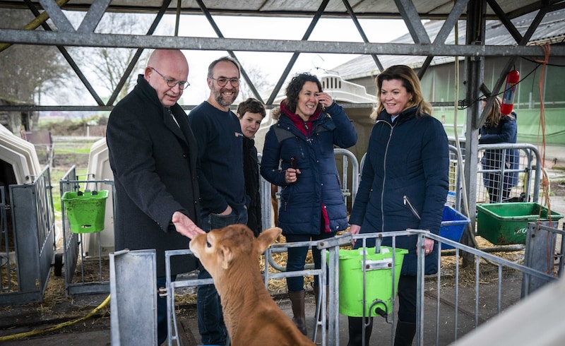 Ministers Henk Staghouwer (Landbouw, Natuur en Voedselkwaliteit, uiterst links op foto) en Christianne van der Wal (Natuur en Stikstof, uiterst rechts) bij een boerderij tijdens een gezamenlijk werkbezoek.