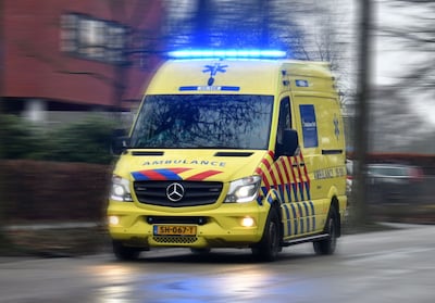 Image related to the article