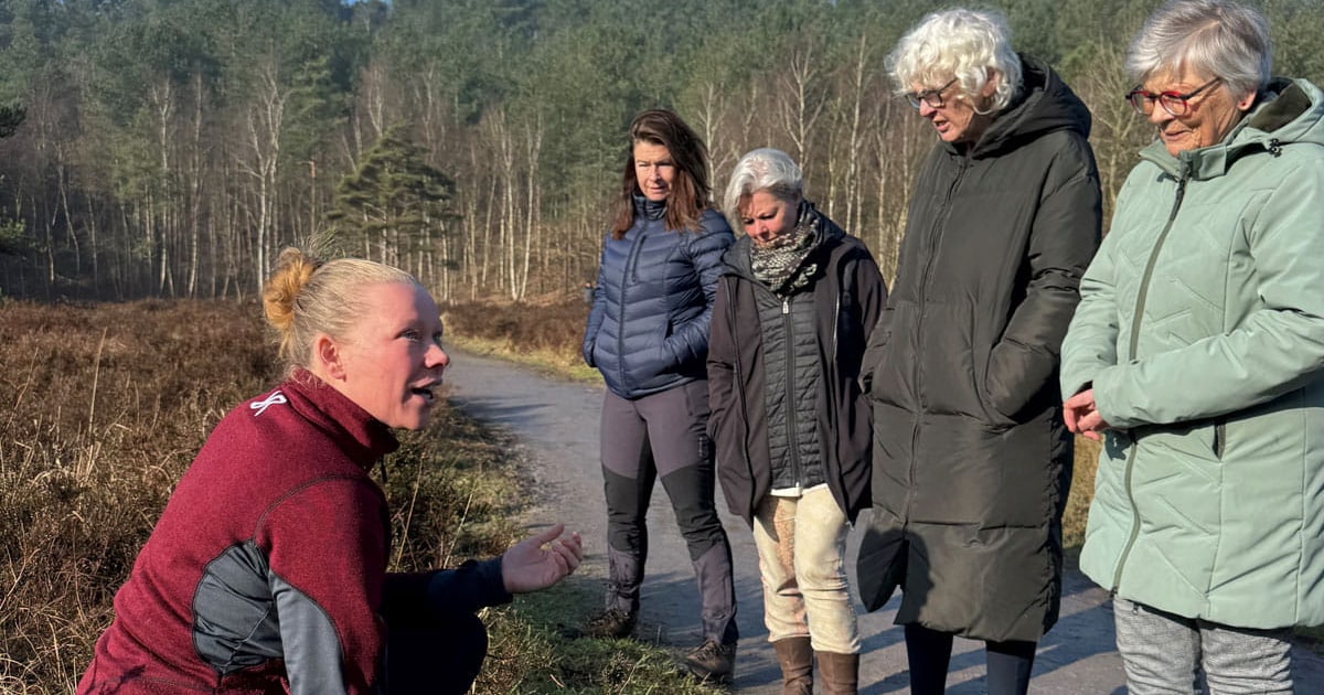 Workshop kruidenzalf maken in Schoorlse Duinen op 8 januari en 7 februari