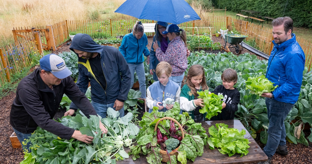 Workshop biologisch moestuinieren bij Velt: start voorbereid aan het tuinseizoen