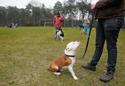 Image related to the article