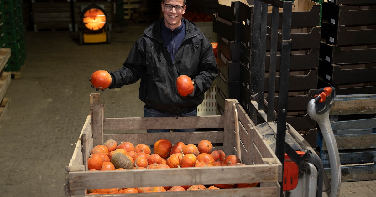 Chris uit Groesbeek heeft een topseizoen met zijn pompoenen, maar nu zit hij met een probleem