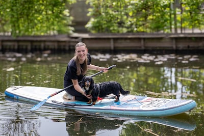 Teckels op een supboard en hondenijs: deze foto’s van de Teckeldag in Zoetermeer moet je zien