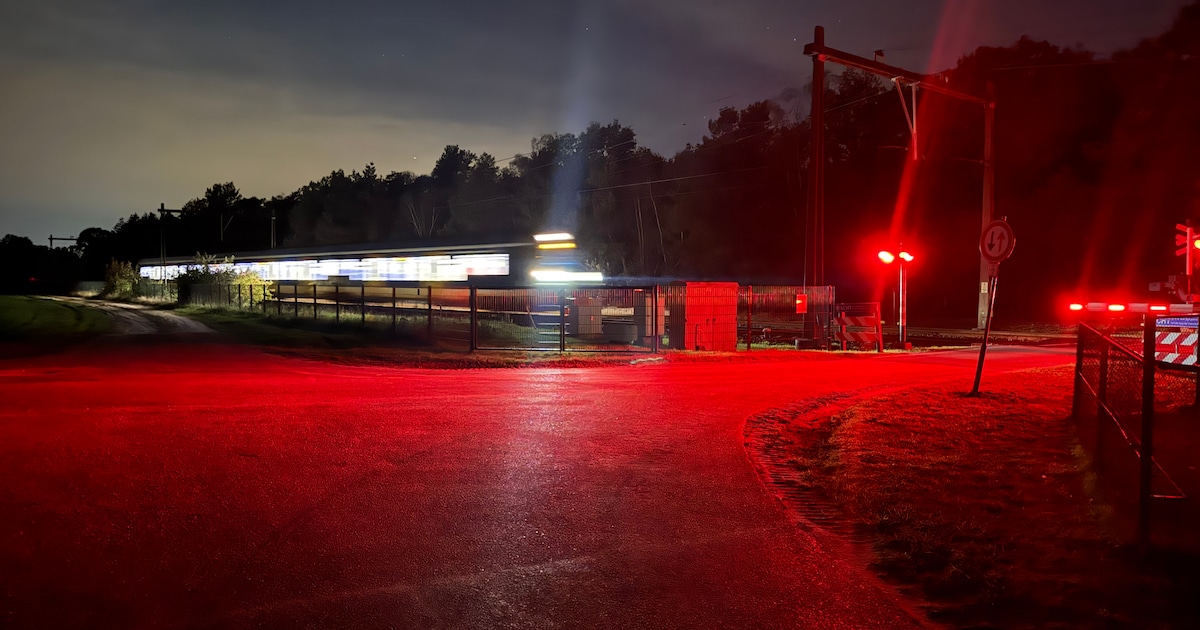 Trein staat bijna een uur stil na botsing met reeën bij Holten