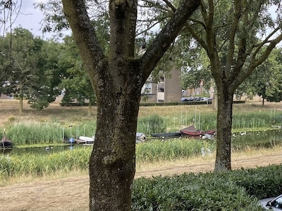 ‘Verdrietig en onbegrijpelijk’: buurtbewoners ruimen zelf berg afval uit rivier de Aa op na vermoede