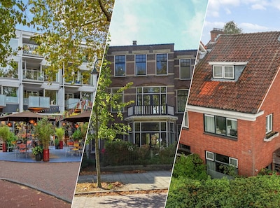 Pechtold en zijn vrouw kunnen nog geen geschikt huis vinden in Delft: wat is wél geschikt voor het s