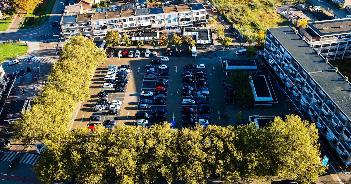 Sliedrecht reageert op zorgen over plantenbakken bij weekmarkt: ‘Niet minder ruimte’
