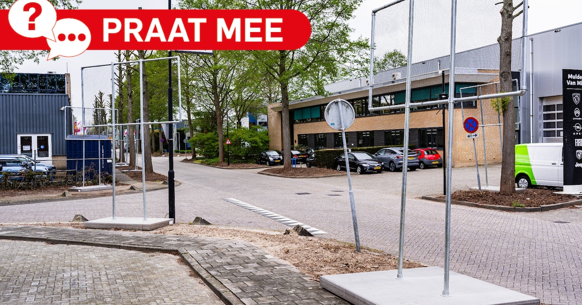 Vleermuisschermen weg ermee of is het juist goed dat gemeente zich om deze diertjes bekommert?