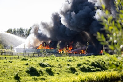 Image related to the article