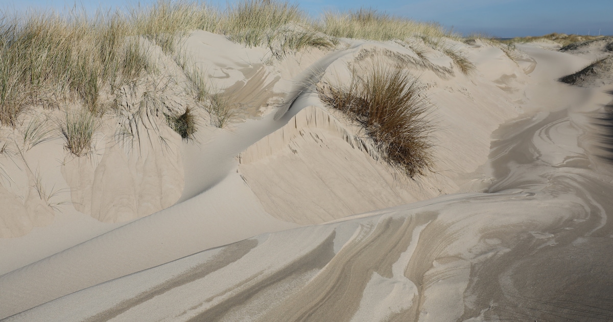 Duinen bij Roosduinen krijgen flinke opknapbeurt: werk duurt tot half oktober
