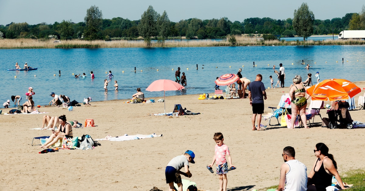Misselijkheid en uitslag: waarschuwing voor blauwalg in de Haarrijnse Plas