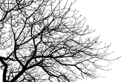 Image related to the article