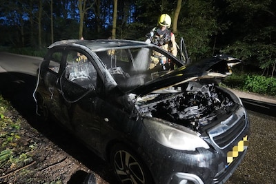 Auto brandt uit op Koekoekweg in Harfsen