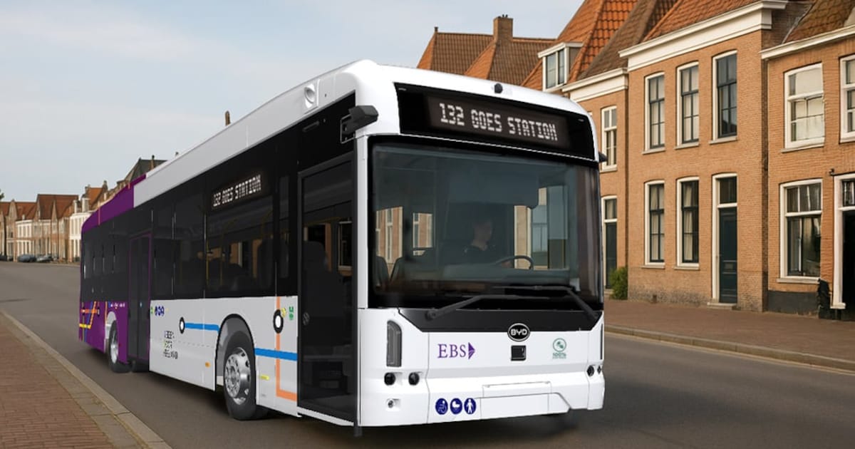 Paars en groen: zo zien de bussen in Vlissingen er volgend jaar uit