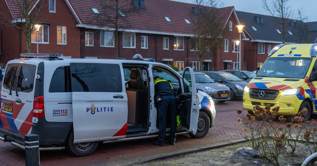 Voorbijganger overmeestert man met mes in Berkel en Rodenrijs en raakt lichtgewond